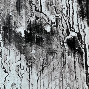 digitalJungleFragment