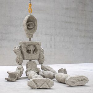 Rigged_1_Bob_Bicknell_Knight