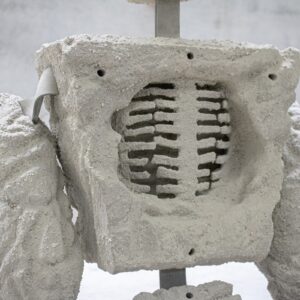 Rigged_4_Bob_Bicknell_Knight