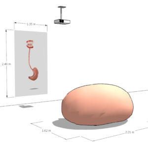 Exhibition_Mock_Up_Rosa_Gut1