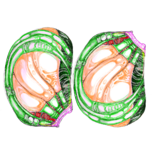 Process2_UV-Map_Textures