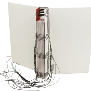 Rita Lenore Viitkar - egutusauhind tudengikategoorias