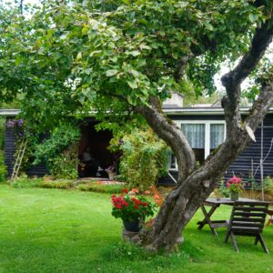 Külluse 12_aiakujundus_9