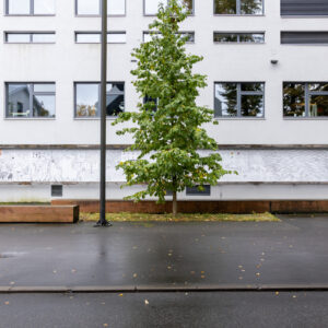 02_Odie Lap Chun Chow_Weather as a Conversation Topic