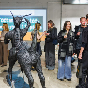 Nahtamatud_kivid11112025-2