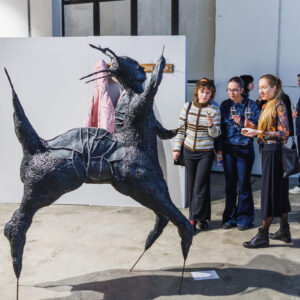 Nahtamatud_kivid11112025-10