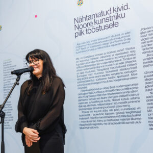 Nahtamatud_kivid11112025-33