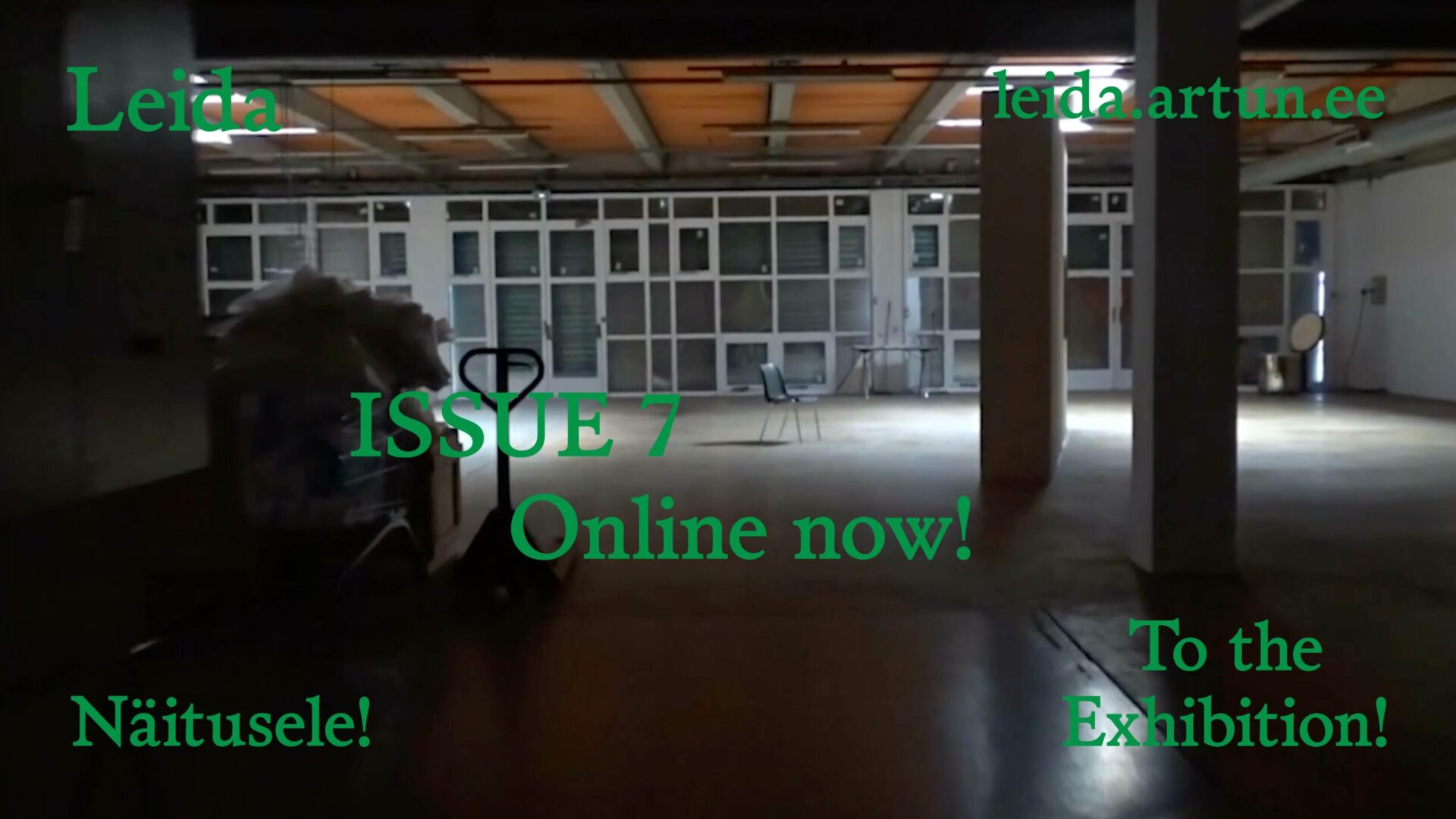 leida7 static screens