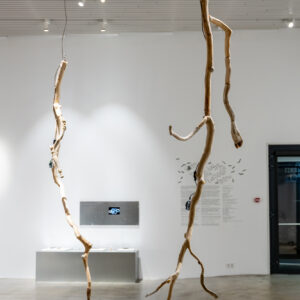 25_Compose Decompose at EKA Gallery_photo by Odie Lap Chun Chow