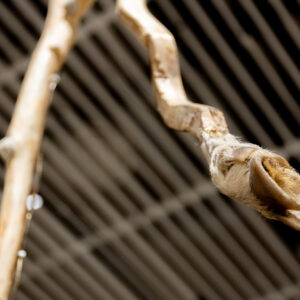 26_Compose Decompose at EKA Gallery_photo by Odie Lap Chun Chow