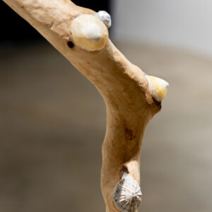 27_Compose Decompose at EKA Gallery_photo by Odie Lap Chun Chow