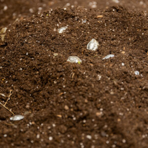 39_Compose Decompose at EKA Gallery_photo by Odie Lap Chun Chow