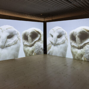 60_Compose Decompose at EKA Gallery_photo by Odie Lap Chun Chow