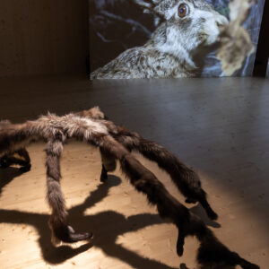 62_Compose Decompose at EKA Gallery_photo by Odie Lap Chun Chow