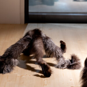 65_Compose Decompose at EKA Gallery_photo by Odie Lap Chun Chow