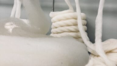 Villalindid_Liisi Tamm