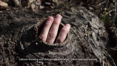 kolmas eelretsenseerimine_kadri