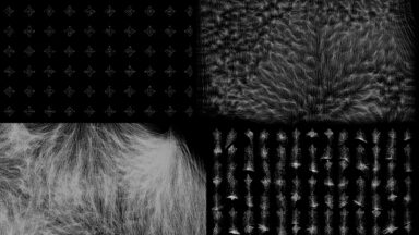 Foto Sten Saaritsa visuaalid näitusele Kõige kanduva teed