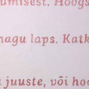 003_Liisa Nurklik 'Eksimas' EKA Galeriis_foto August Kilmi