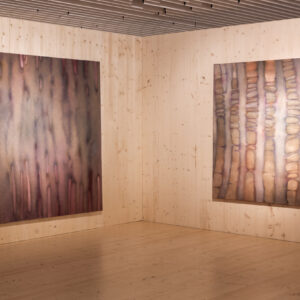 007_Liisa Nurklik 'Eksimas' EKA Galeriis_foto August Kilmi