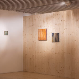 012_Liisa Nurklik 'Eksimas' EKA Galeriis_foto August Kilmi