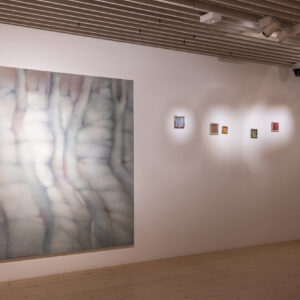 019_Liisa Nurklik 'Eksimas' EKA Galeriis_foto August Kilmi