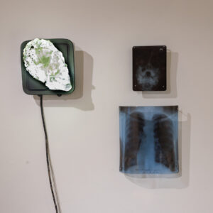 018_We Need More Indoor Spaces at EKA Gallery_photo by August Kilmi