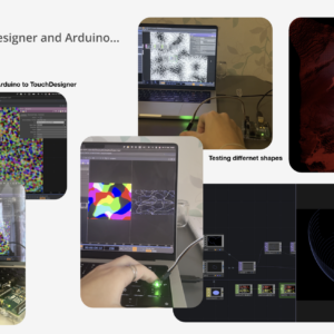 katriin-saulus-protsess