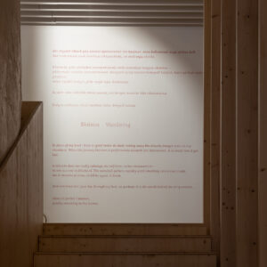 01_Liisa Nurklik 'Wandering' at EKA Gallery_photo by August Kilmi