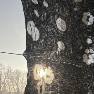 Vivian Vuks_detail (1)