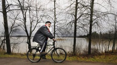 sirp_2016_40_0006__art_r1