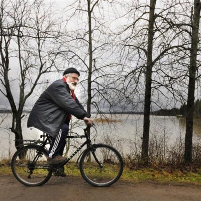 sirp_2016_40_0006__art_r1