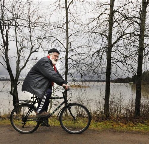 sirp_2016_40_0006__art_r1