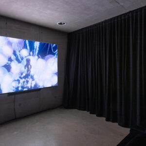 06_Animatsioon videoboksis_2026_foto Kaisa Maasik