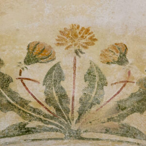 Originaalne Võilill