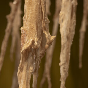 erikson_remediation_01