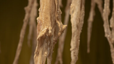 erikson_remediation_01