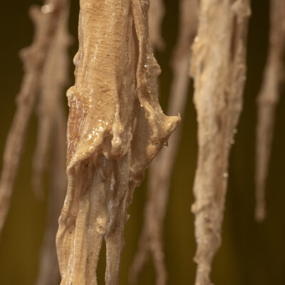 erikson_remediation_01