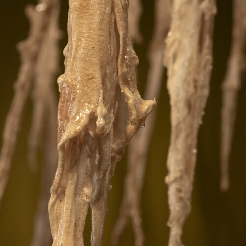 erikson_remediation_01