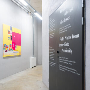 10_Täheldusi vahetust lähedusest EKA Galeriis_foto August Kilmi