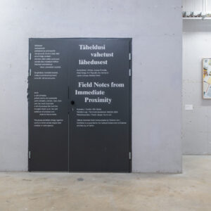 19_Täheldusi vahetust lähedusest EKA Galeriis_foto August Kilmi copy