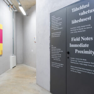 08_Täheldusi vahetust lähedusest EKA Galeriis_foto August Kilmi