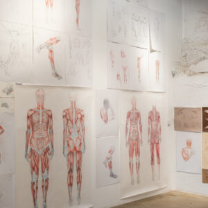 2_hindamismaraton_kunst_anatoomiline joonistamine_foto August Kilmi-06