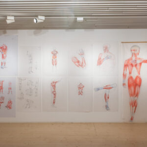 2_hindamismaraton_kunst_anatoomiline joonistamine_foto August Kilmi-12
