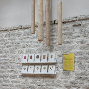242_TASE 2026_foto Joosep Kivimae