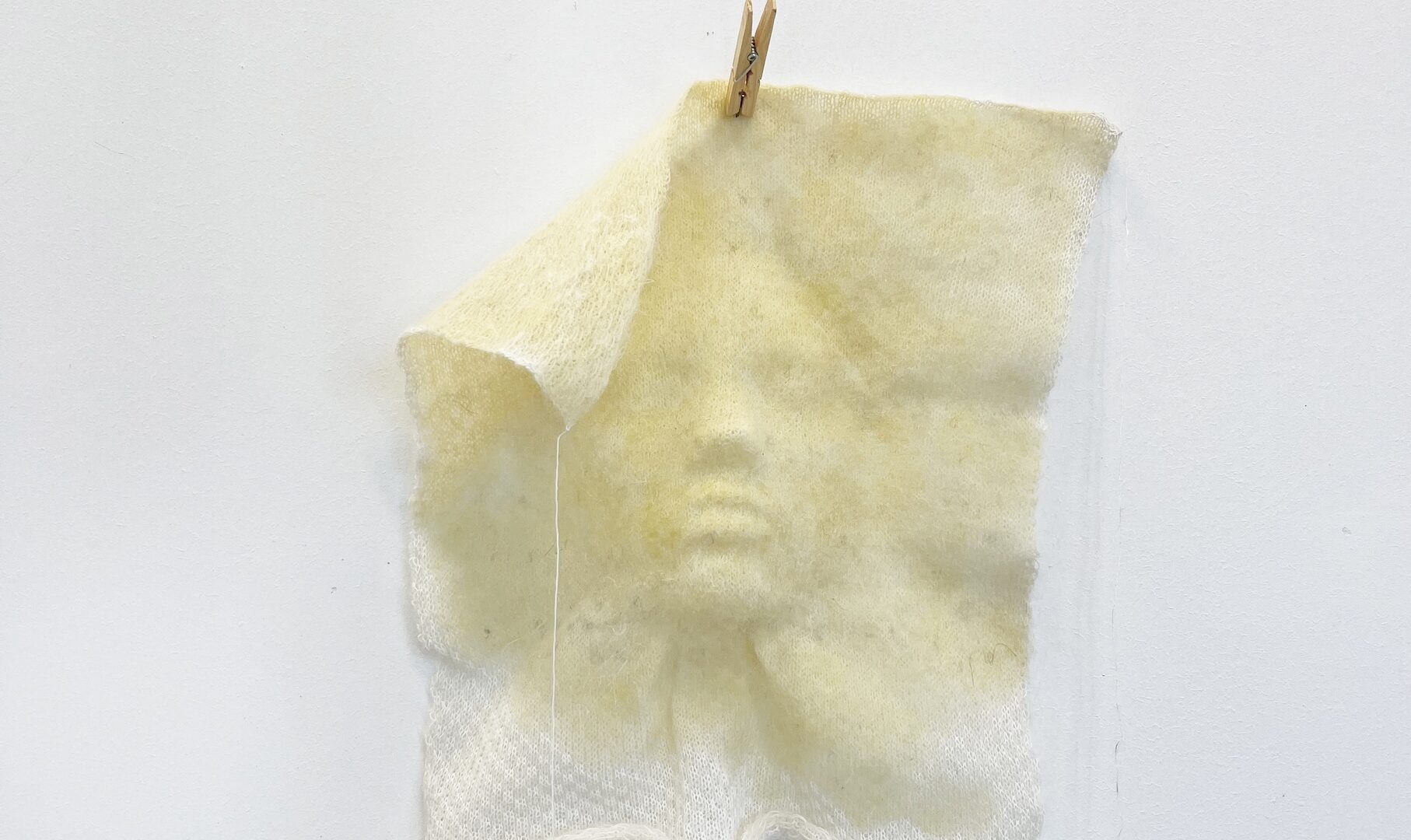 M.Adamsoni preemia_Vivian Vuks_detail