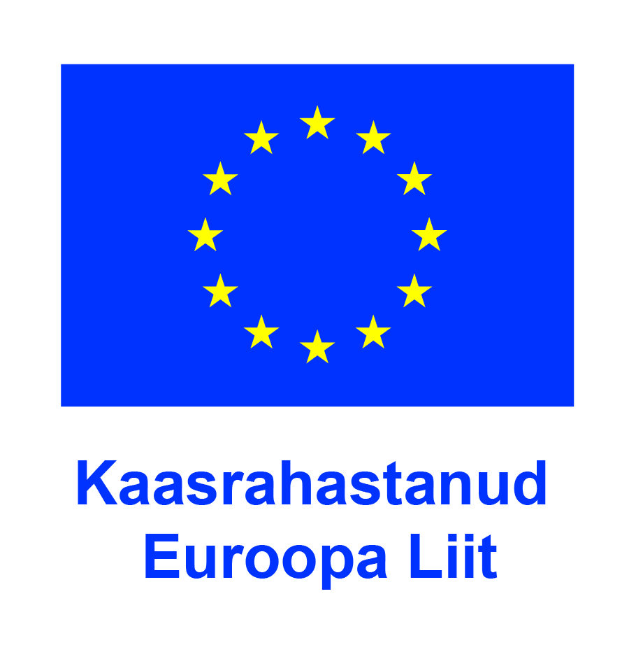 ET V Kaasrahastanud Euroopa Liit_POS