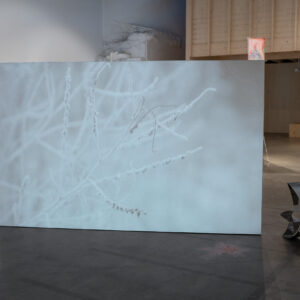 05_Charge, Jaw, Babble, Faucet_photo by Marily Simenson-Plasko