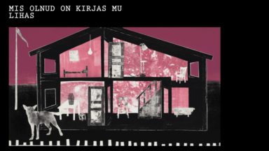 Mis on olnud kirjas mu lihas