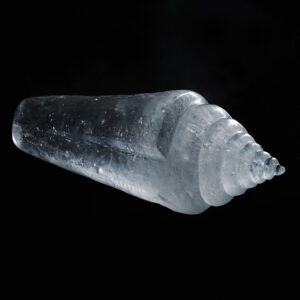 001MAARJA MÄEMETS I